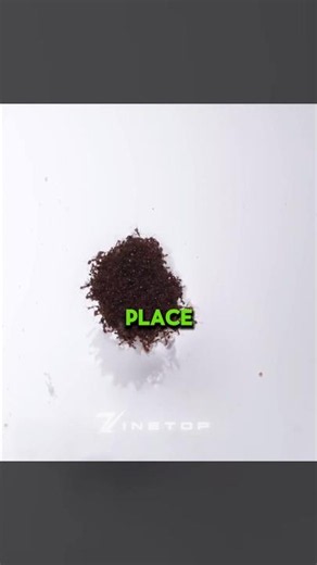 How Fire Ants Survive Severe Floods