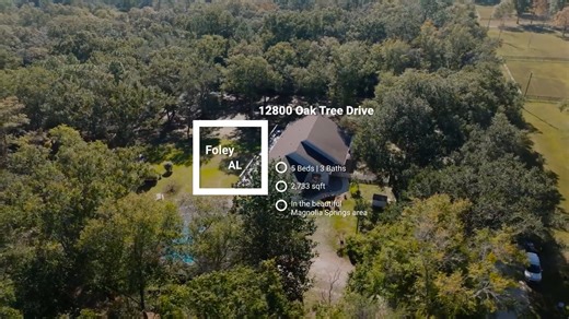 12800 Oak Tree Drive, Foley, AL 36535