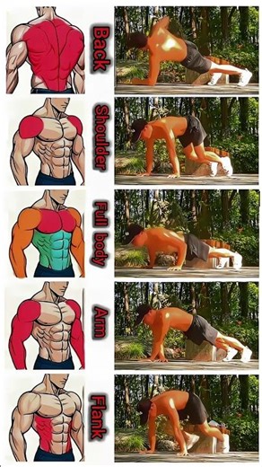 5 Best Exercises for Six Pack Abs & Strong Arms 💪 | Upper Body Workout #Shorts