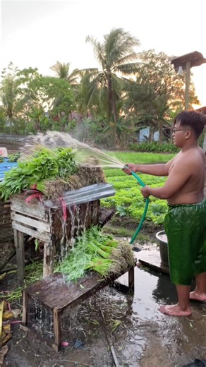 akuwong____ (@akuwong____)’s videos with suara asli - Music Dangdut Koplo🔊 - dybalaaa