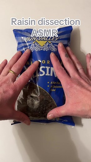 Raisin Dissection ASMR Experience