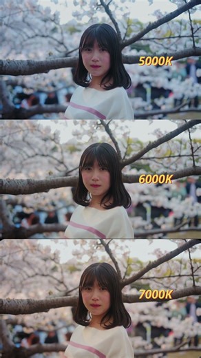 Which do you like?📸 Shot on Nikon ZR & Color Graded with DaVinci Resolve 20