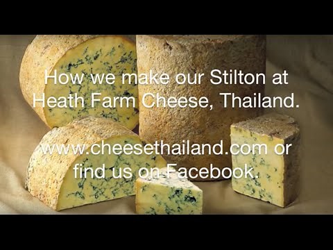 Our complete recipe for making Stilton Cheese