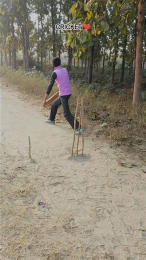 Watch the best moments,#cricket #bestmoments #highlights