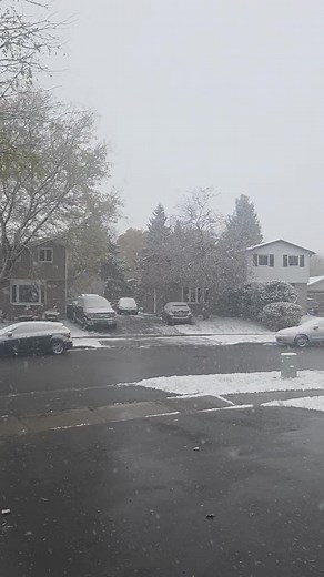 First snow Nov. 09 2025 at 7:55 am Canada time zone | Ocin Yacab | Facebook