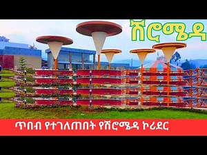 You have Never Seen Shiromeda Like this! 🇪🇹 Ethiopians Cultural Heart Revealed 2025