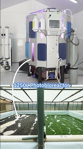 Seed train inoculum vs 1250L photobioreactor