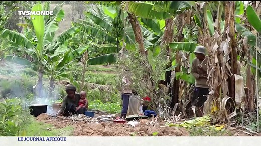 74K views · 127 reactions |  À Madagascar, condamnées à une agriculture de subsistance, des femmes luttent contre la pauvreté en milieu rural. Leur situation a encore empiré depuis la crise du coronavirus. | TV5MONDE | Facebook