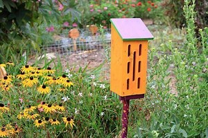 Butterfly house - Alchetron, The Free Social Encyclopedia