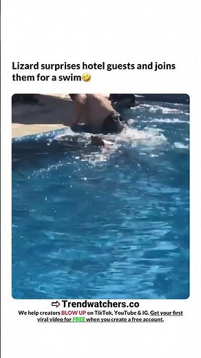 bro swim better than me 😂