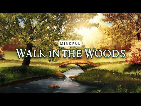 Mindfulness Meditation | MINDFUL WALK IN THE WOODS | Guided Meditation for All