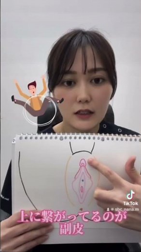 【女性外性器の構造】