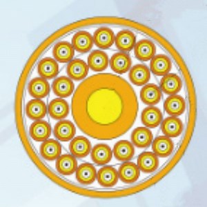 [Hot Item] Indoor Optical Cable High Speed Multi-Purpose Distribution Fiber Optic Cable