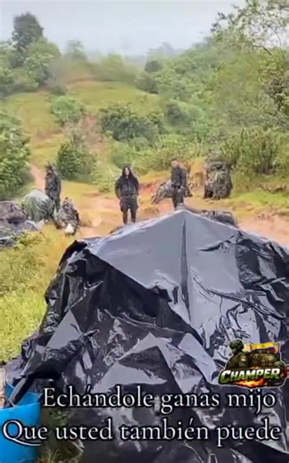 Muy buenos días, que Dios los bendiga y los cuide siempre feliz martes | CHAMPER