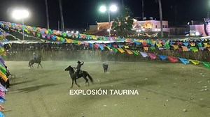 ‼️LAZOO LIBREEEE‼️ ES EL RATONCITO JR. DE RANCHO SANTAMARÍA DE CHOCHOLA YUC. ALCANZANDO A UNA CABALGADURA EN LA FIESTA TRADICIONAL DE TEKIT 2025🔥🔥🔥 LOS REYES DE LA PASADA VINIERON A TEKIT CON TODO!!! #ExplosiónTaurina💣 | Explosión Taurina
