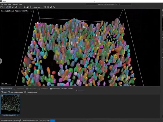 AIVIA软件操作简介