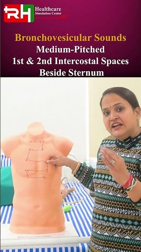 🫁 Lung Auscultation | Breath Sounds Explained Clearly #BreathSounds #RespiratorySystem