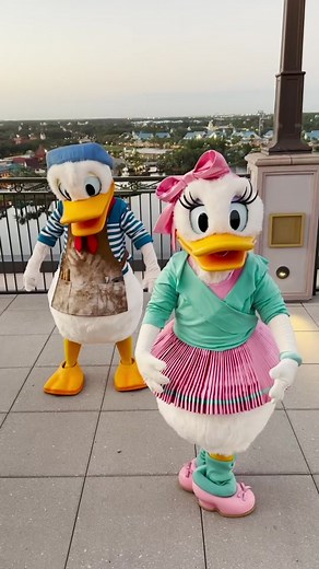 Donald's dancing really 'quacks' us up 🐥🤣 #Disney #DisneyParks #DaisyDuck #DonaldDuck #Ballet #Dance #Disney100