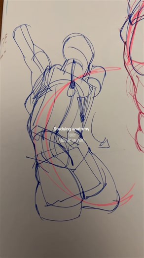 Anatomy Study Insights from My Book