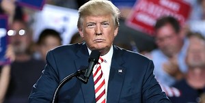 Trump's Election Fraud Claims: A Collection