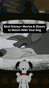 Now the ruff decision... What to watch first? 🎥: Stream all these titles and more with your pup on #DisneyPlus | Disney