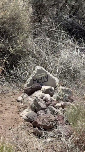 Pet cemetery out here in the desert valley. #colorado #pets #discover #explore #cemetery #desert