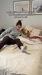 maybe he’ll learn from this demonstration #dogs #goldenretriever #funnydog #dogmom #doglife | Goldenchilidog