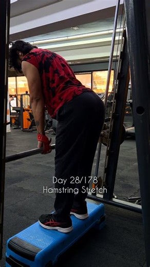 Hamstring Stretch
