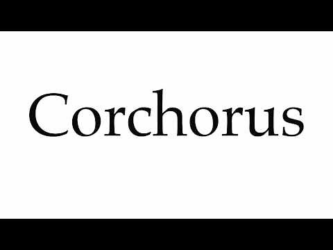 How to Pronounce Corchorus