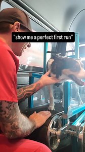 52K views · 1.3K reactions | What does a perfect first run look like? The dog is curious and not afraid of new things. The dog has drive, and enjoys the chase. The dog is smart and athletic. Cain jumped on the treadmill and was learning how it worked within 2 minutes. Within 10 minutes he was running full speed. If we can get a dog to take a few steps on a first run, it is a success. Every now and then you meet a dog that is exceptional. #rundawg #mobiledoggym | Run Dawg | Facebook