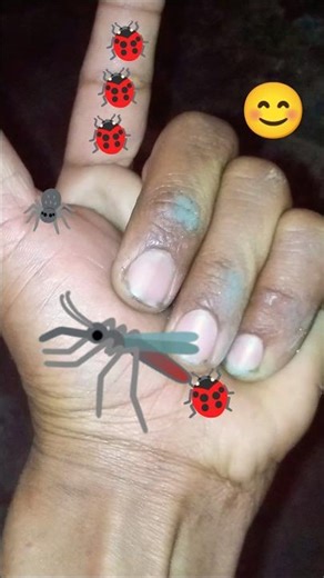 is the Smaller 🪲shiny jewel beetleYp-0781 #beautifulinsects #nature#anyuniqueanimals