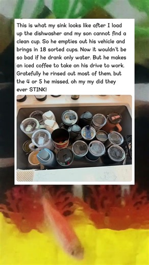 When Your Kid Brings Home Every Cup Ever — Relatable Kitchen Chaos 😭🏡