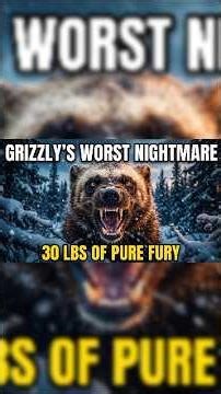 "The Only Animal a Grizzly Bear Actually Fears! 🐻"