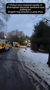 7 Police Cars respond rapidly in Birmingham because someone was putting an English flag around a Lamp-Post | Georgie Ikin