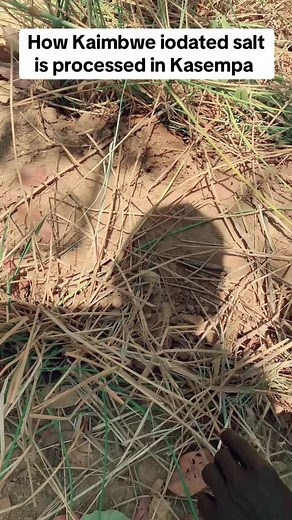 ChendaTheSolweziOhn on TikTok