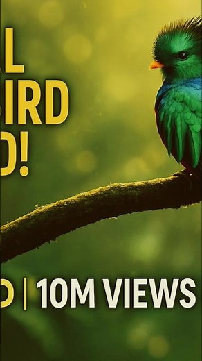 Most Beautiful Bird on Earth? 🐦 | Hidden Jungle Beauty in 4K!