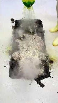 Silent Elegance – Rug’s ASMR Relaxation Reveal