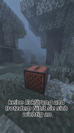 Minecraft Disc 11 - Ein ungelöstes Mystery, das bis heute niemand versteht