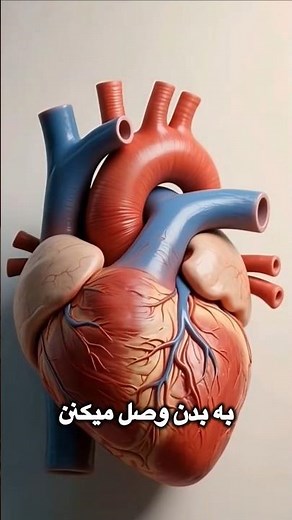 فریز شدن تا آینده! 🧊⌛😢#انجماد_بدن #فناوری #رازهای_جهان #زندگی_ابد