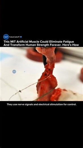 Scientists Create Fatigue-Free Artificial Muscle Controlled by Computers #muscle #biology #medical