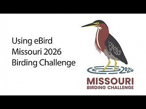 How to use eBird: Missouri Birding Challenge 2026
