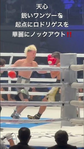 那須川天心 鋭いワンツーを起点にロドリゲスを華麗にノックアウト‼️