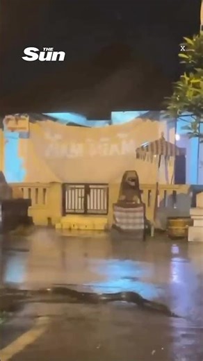 Giant pythons swim through Bali streets after torrential rain