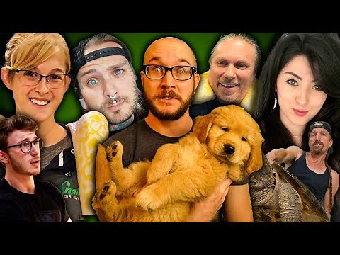 The BEST and WORST Reptile YouTubers and Their Impact On The Reptile Hobby!