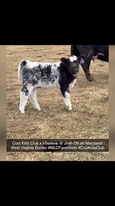 Cool Kids Club x I-Believe @ Josh Ott on Maryland/West Virginia Border #MLCFarmVisits #CoolKidsClub | Matt Lautner Cattle