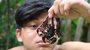 144K views · 2.9K reactions | Shocking Eating Scorpions  | DR Food | Facebook