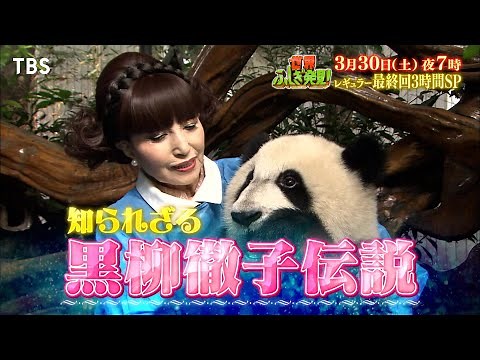 『世界ふしぎ発見!』3/30(土) 絶景あり過酷な挑戦あり珍場面あり！レギュラー最終回3時間SP!!【TBS】