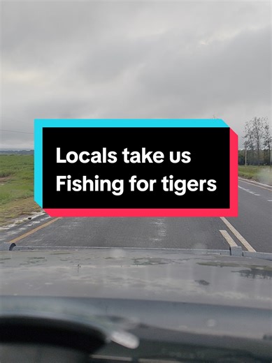 Get Local Guides for an Unforgettable Fishing Experience