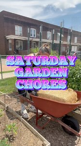 29K views · 1.3K reactions | Saturday garden chores. Planting, trellises, mulch and blueberries. #garden #gardening | Dirty Punk Gardening | Facebook