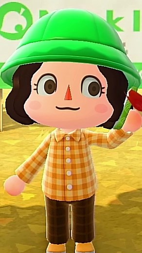 Explore Froggy Crossing Dream Address in Animal Crossing New Horizons